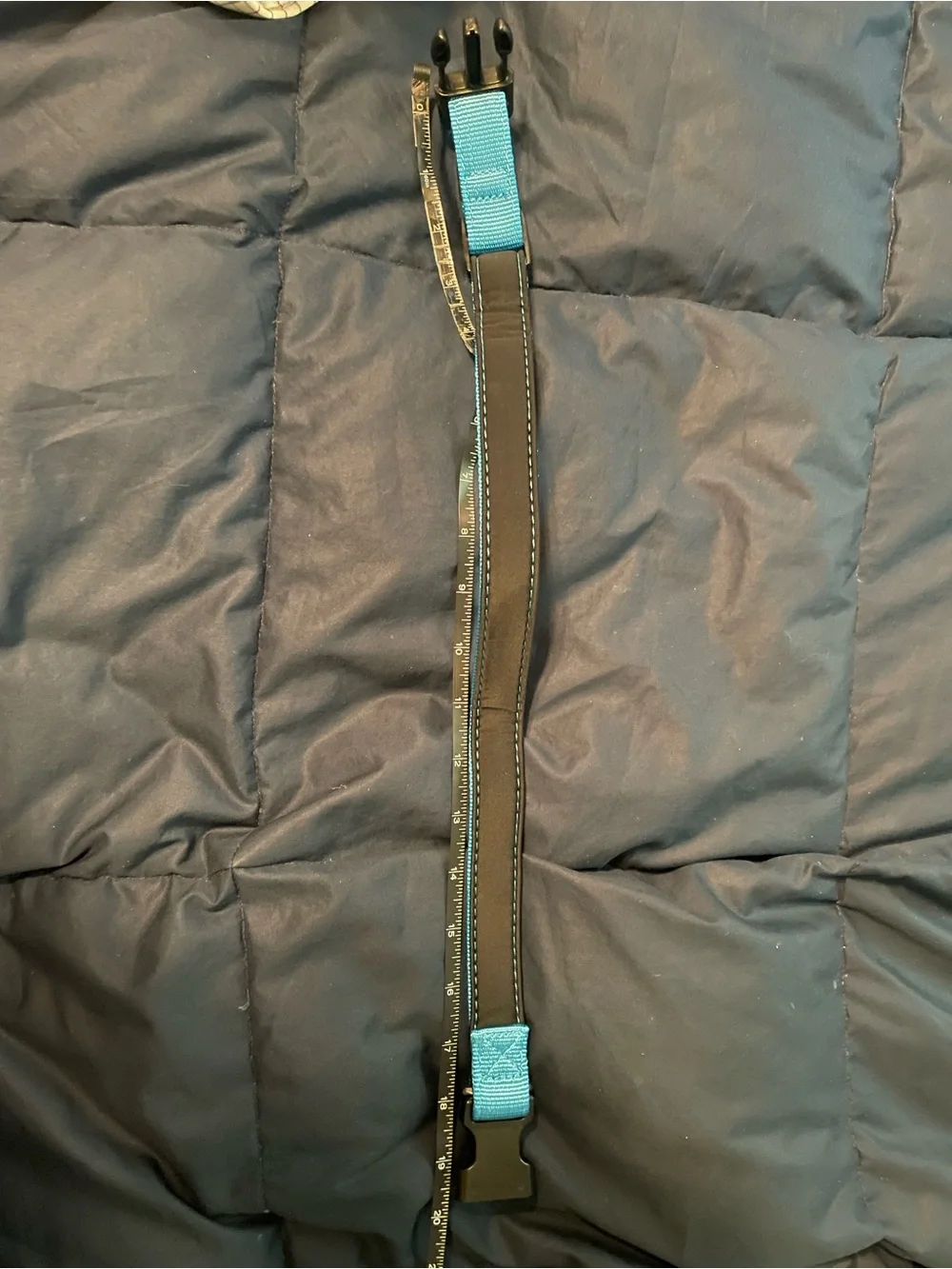 Teal Dog Collar with Wave Logo
